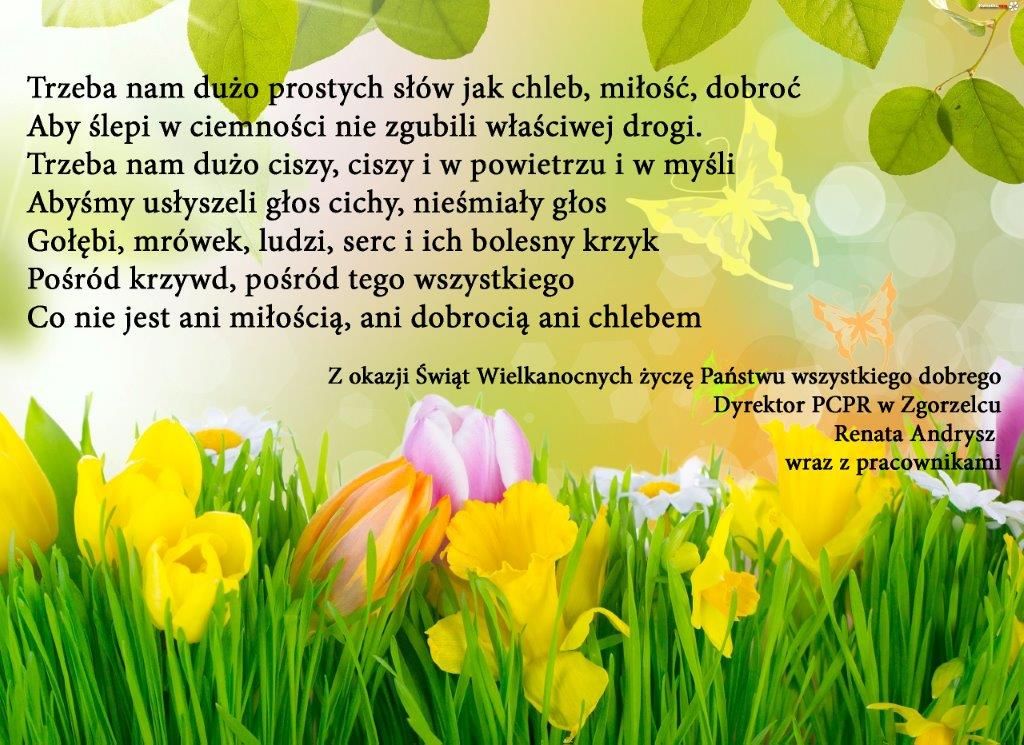 infografika - treść życzeń